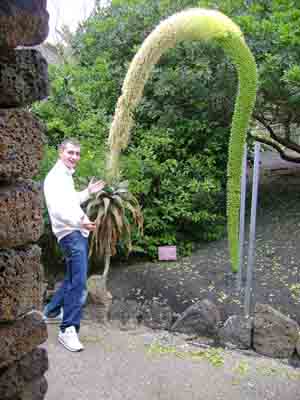 Lloyd with Triffid