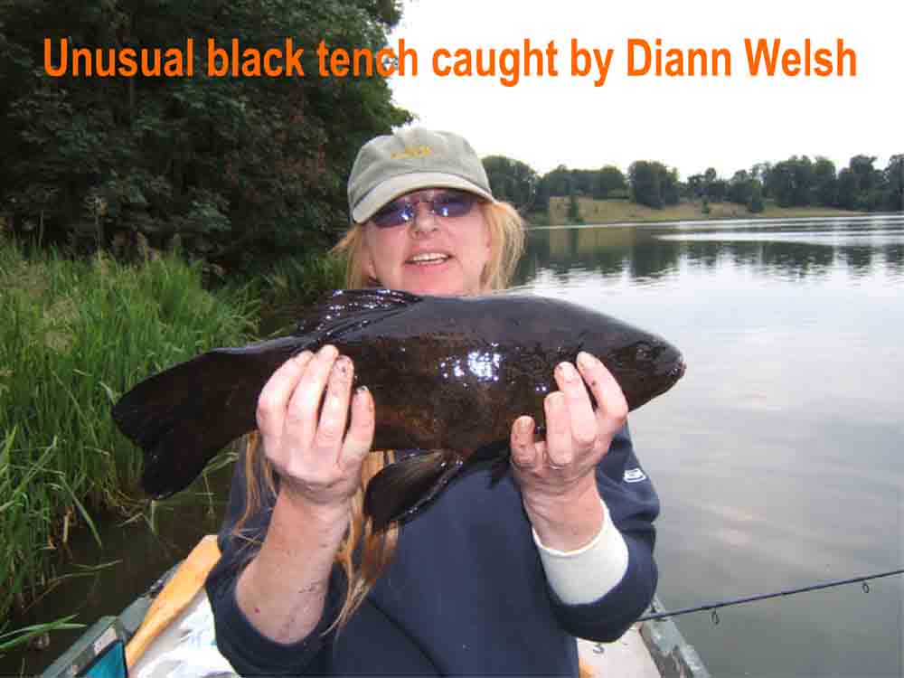 Diann with black tench
