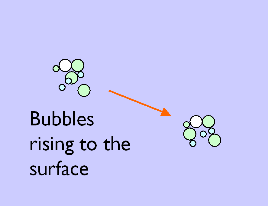 Rising bubbles may indicate carp feeding