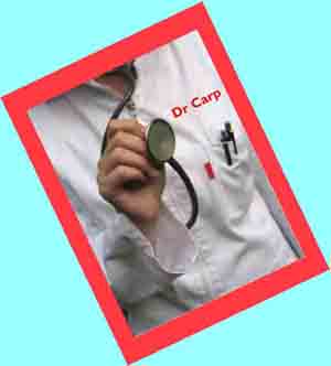 Dr Carp answers 5 probing questions