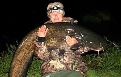 Bev Street with record UK Catfish, 66lb, Tansor, Cambs
