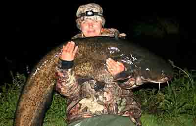 Bev Street with record UK catfish of 66lb