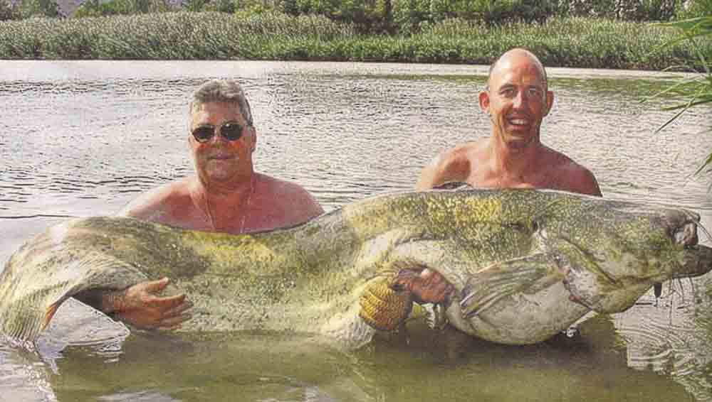 Mark Tayor (r), 168 lb catfish (Spain)
